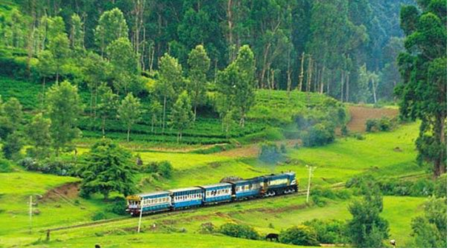Showing Coorg Karnataka